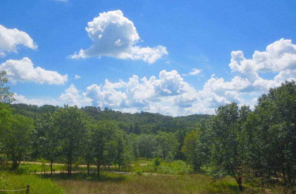 Shakespearean Theatre in the 21st Century – A Tour of&nbsp;APT